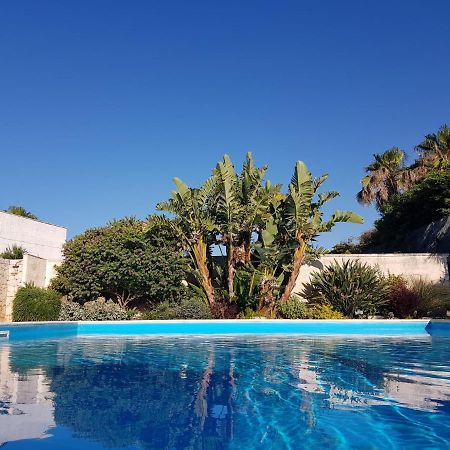 מולה די בארי Villa Karmarea מראה חיצוני תמונה